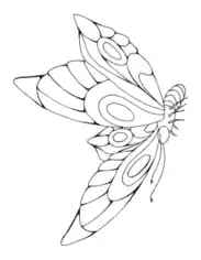 Free Download PDF Books, Butterfly Beautiful Patterned Wings Coloring Template