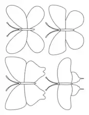 Butterfly Blank Set 4 Coloring Template