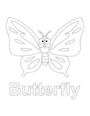 Butterfly Cute Cartoon Preschool Coloring Template