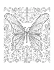 Free Download PDF Books, Butterfly Intricate Butterfly Swirly For Adults Coloring Template