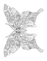 Free Download PDF Books, Butterfly Intricate Pattern For Adults Coloring Template