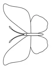 Free Download PDF Books, Butterfly Outline 1 Coloring Template