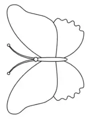 Butterfly Outline 10 Coloring Template