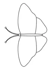 Butterfly Outline 11 Coloring Template