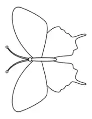 Free Download PDF Books, Butterfly Outline 2 Coloring Template
