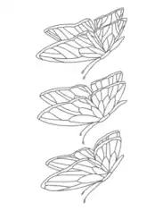 Free Download PDF Books, Butterfly Set 3 Coloring Template