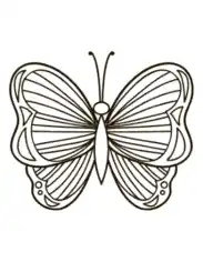 Butterfly Simple Pattern To Color Stripes Coloring Template