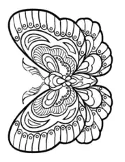 Free Download PDF Books, Butterfly Stylized Intricate Patterned Wings Coloring Template