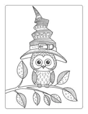Halloween Owl Witches Hat For Adults Coloring Template
