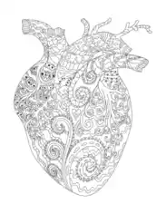 Heart Anatomical Heart Shaped Doodle for Adults Coloring Template