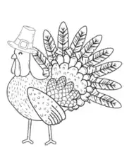 Thanksgiving Turkey Wearing Pilgrim Hat Coloring Template