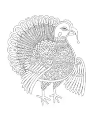 Free Download PDF Books, Turkey Detailed Turkey For Adults To Color Coloring Template