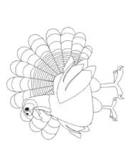 Turkey Simple Line Drawing Coloring Template