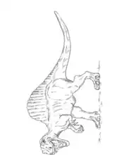 Free Download PDF Books, Fierce Spinosaurus Attack Dinosaur Coloring Template