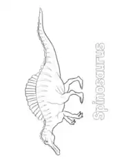 Free Download PDF Books, Spinosaurus 2 Dinosaur Coloring Template