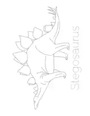 Stegosaurus Tracing Picture Dinosaur Coloring Template
