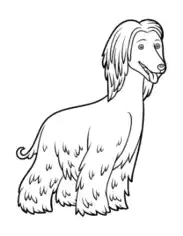 Afghan Hound Outline Dog Coloring Template
