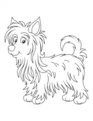 Australian Silky Terrier Cute Cartoon Dog Coloring Template
