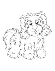 Free Download PDF Books, Bichon Havanese Cute Outline Dog Coloring Template
