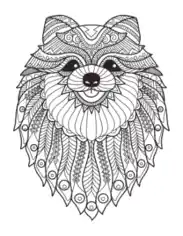 Detailed Pattern Pomeranian For Adults Dog Coloring Template