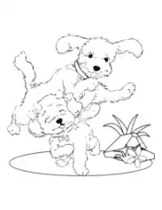 Poodles Cute Playing Dog Coloring Template