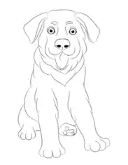 Puppy Dog Sitting Ears Down Dog Coloring Template