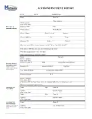 Car Accident Incident Report Template