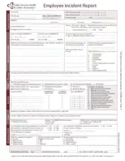 Free Download PDF Books, Employee Incident Report Template