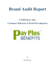 Consumer Behaviour and Brand Development Audit Report Template