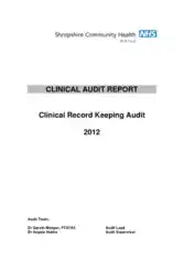 Clinical Record Audit Report Template