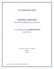 Corporate Compliance Audit Report Template
