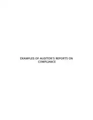 Examples of Auditors Reports on Compliance Template