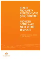 Provider Compliance Audit Report Template