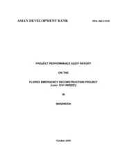 Engineering Project Performance Audit Report Template