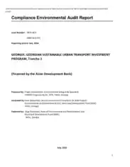 Compliance Environmental Audit Report Template