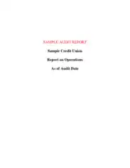 Credit Union Sample Financial Audit Report Template