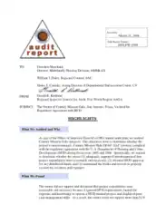Free Download PDF Books, Printable Financial Audit Report Template