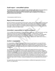 Sample Financial Audit Report With Unmodified Opinion Template