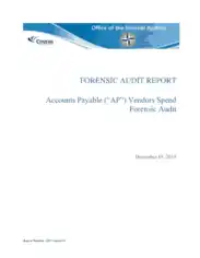 Accounts Payable Forensic Audit Report Template