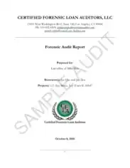 Loan Forensic Audit Report Template