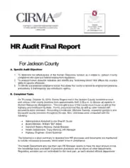 HR Audit Final Report Template