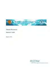 Internal Audit Report of Human Resources Template