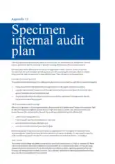 Specimen Internal Audit Plan Template