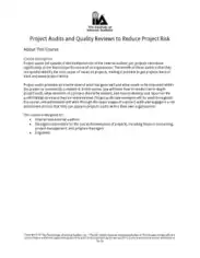 Project Audits and Quality Reviews to Reduce Project Risk Template