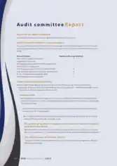 Free Download PDF Books, Audit Committee Report Free Template