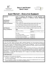 Audit Executive Report Free Template