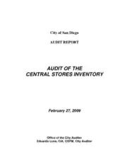 Audit Report of the Central Stores Inventory Template