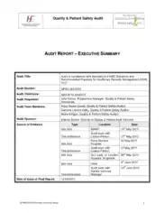 Free Download PDF Books, Audit Summary Report Sample Template