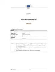 eHealth Audit Report Template