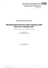 Musculoskeletal Service Patient Experience Audit Report Template